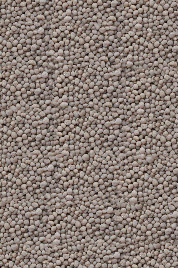 85c4417a553d52917993c4e22225efef2